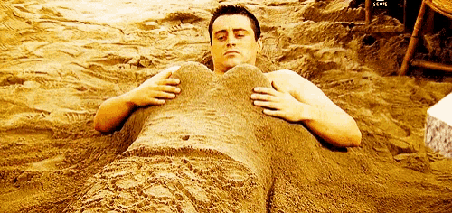 joey-burried-in-sand.gif