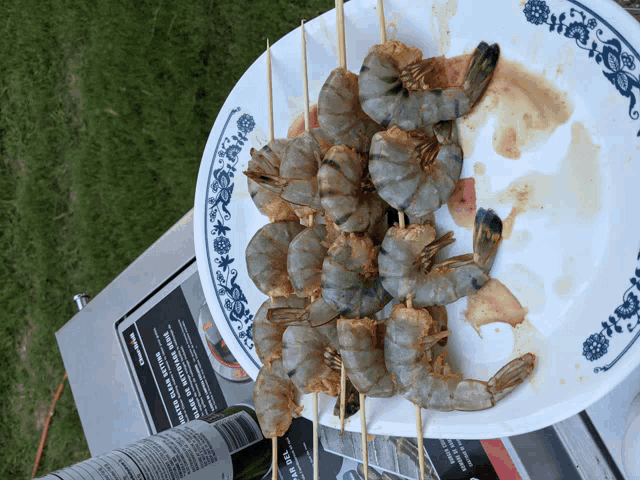 a plate of shrimp on skewers sits on a table next to a cuisinart appliance
