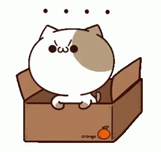 Cat Box GIF - Cat Box Quit GIFs