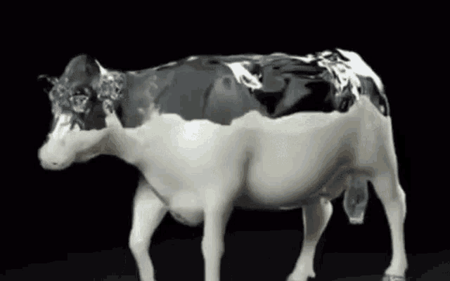 Walking Cow Cows GIF - Walking Cow Cows Milk GIFs