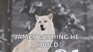 a white wolf is sitting in the snow with the words `` james wishing he could '' .