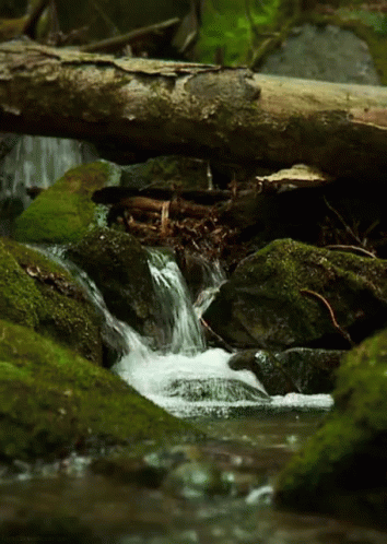 Waterfall From Http://Headlikeanorange.Tumblr.Com/ GIF - Waterfall Stream Water GIFs