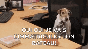 a dog is sitting at a desk with a tie in its mouth and a computer keyboard .