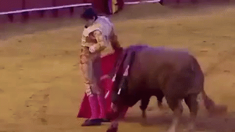 Torero GIF - Bull Fighter Impaled GIFs