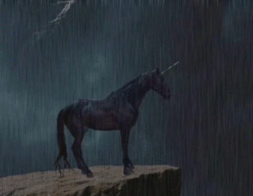 Black Unicorn GIF - Black Unicorn Rain GIFs