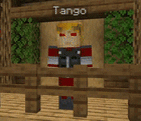 Tangotek Hermitcraft GIF - Tangotek Hermitcraft Minecraft GIFs