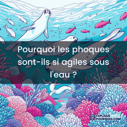 an illustration of seals and corals with the words " pourquoi les phoques sont-ils si agiles sous l'eau "