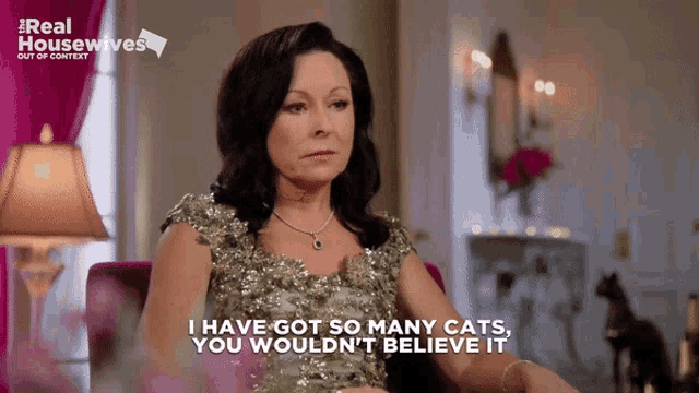 a woman is sitting in a chair with the words " i have got so many cats you wouldn 't believe it "