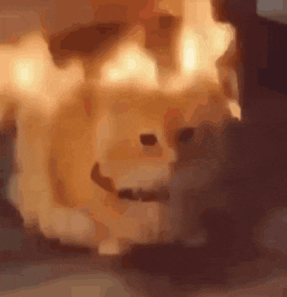 a close up of a dog 's face with flames coming out of it 's mouth .