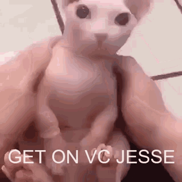 Get On GIF - Get On Vc GIFs