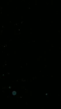 a green smoke coming out of a bottle on a black background