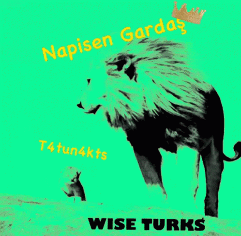 Wıse Turks GIF - Wıse Turks T4tun4kts GIFs
