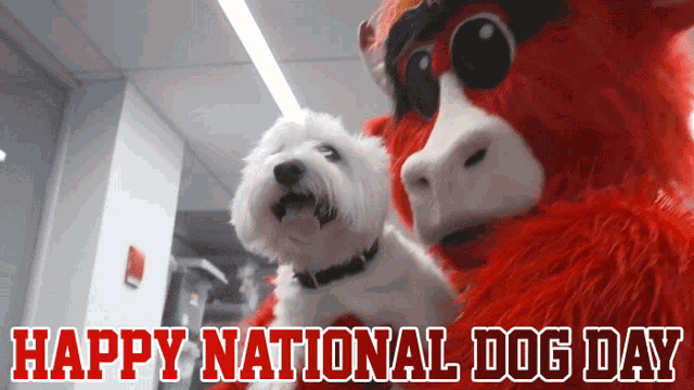 Happy Nationl Dog Day Dogs Day GIF