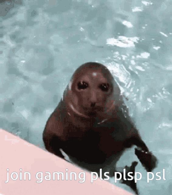 Join Gaming GIF - Join Gaming GIFs