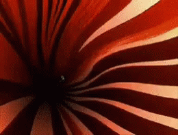 Plankton Wormhole GIF