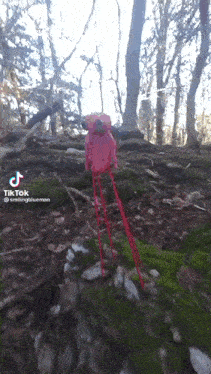 a tik tok video of a stuffed animal standing on a mossy rock
