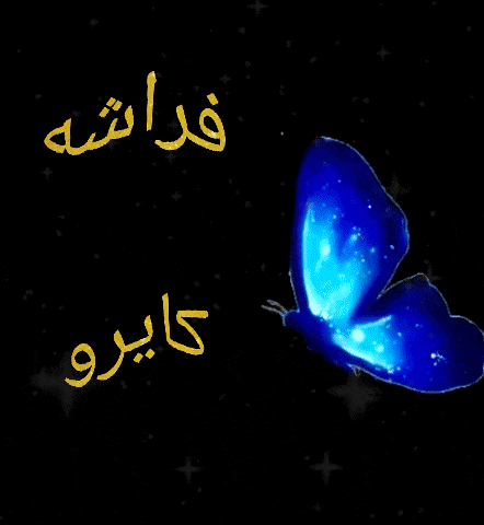 a blue butterfly is surrounded by stars and the words " frashee " and " kaido "