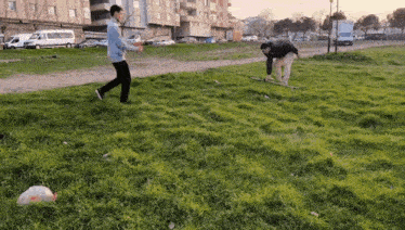 two people are playing in a grassy field with a skateboard