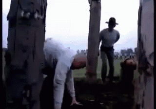 a man in a hat is standing next to a tree .