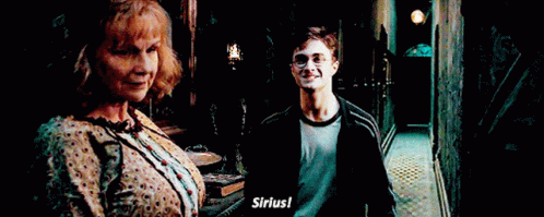 Harry Potter Sirius GIF - Harry Potter Sirius Hugs GIFs