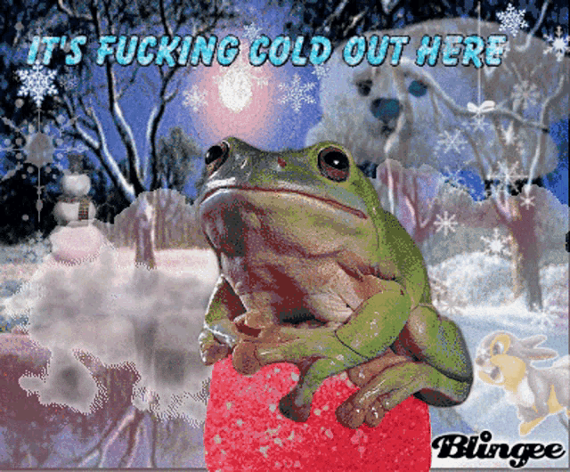 a frog sitting on top of a red ball with the words it 's fucking cold out here