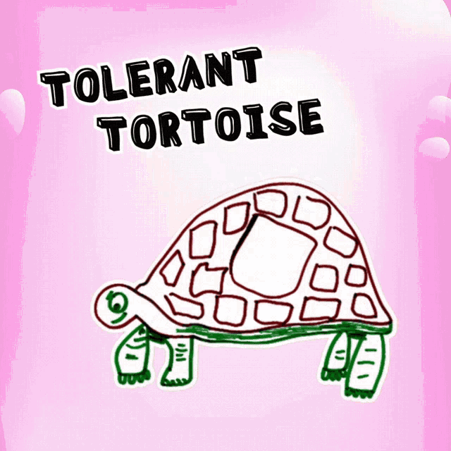 Tolerant Tortoise Veefriends GIF - Tolerant Tortoise Veefriends Patient GIFs