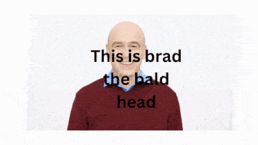 Brad Bradleylitchy GIF - Brad Bradleylitchy Litchymcowner GIFs