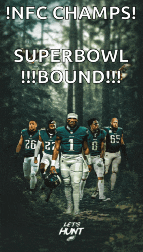 a poster for the nfl champions super bowl