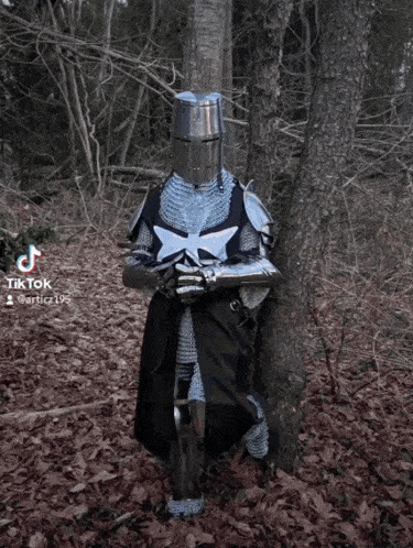 a knight leaning against a tree in the woods with tiktok written on the bottom right
