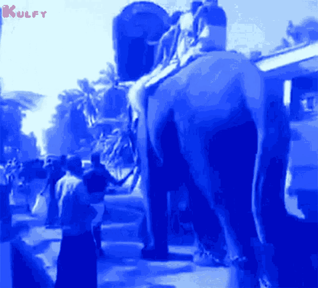 Elephant Enugu GIF - Elephant Enugu Animals GIFs
