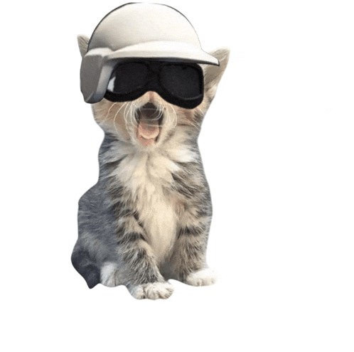 a cat wearing a helmet and goggles is sitting on the ground