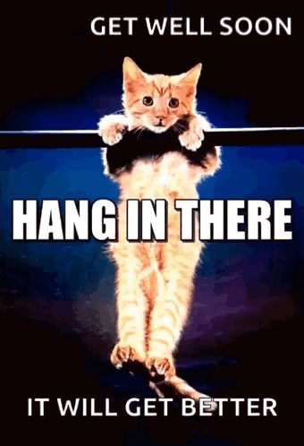 Hanginthere Kitten GIF - Hanginthere Kitten Meme GIFs