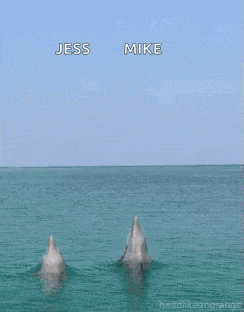 a couple of dolphins jumping out of the water with jess and mike written on the bottom