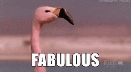 Flamingo Fabulous GIF - Flamingo Fabulous Flamgo GIFs