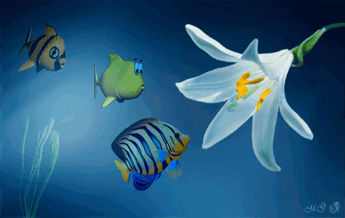 a drawing of fish and a flower with the letters mc on the bottom