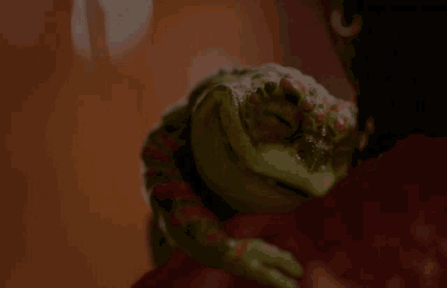 a close up of a person holding a stuffed animal