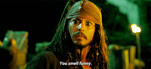 You Smell Funny. GIF - Insult Johnny Depp Pirates Of The Caribbean GIFs
