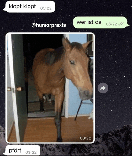 a screenshot of a horse standing in a doorway with the time of 03:22 on the bottom