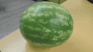 Watermelon Whole GIF - Watermelon Whole Eat GIFs