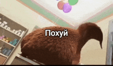 a chicken is sitting on top of a shelf with balloons hanging from the ceiling .