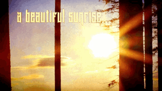 a picture of a beautiful sunrise with trees in the background