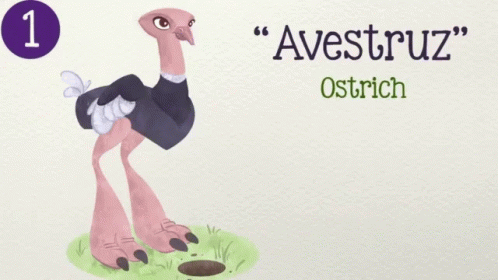 Avestruz Ostrich GIF - Avestruz Ostrich Enojada GIFs