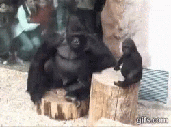 Gtfo GIF - Gorilla Annoyed Mean GIFs