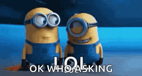 two minions wearing goggles are standing next to each other and the words ok who asking are visible .