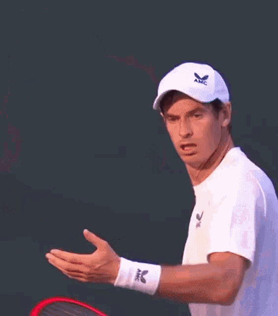 Andy Murray What GIF - Andy Murray What Disbelief GIFs