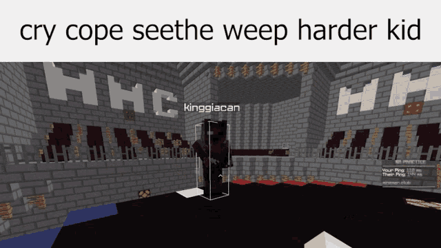 a screenshot of a minecraft game with the words " cry cope seethe weep harder kid "