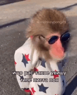 a monkey wearing sunglasses and a sweater with stars on it is standing on the street .