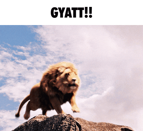 a picture of a lion jumping over a rock with the word gyatt written above it