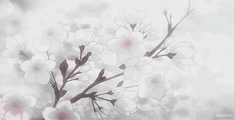a drawing of a cherry blossom tree with white and pink flowers .