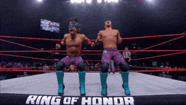 two wrestlers in a ring with the words ring of honor